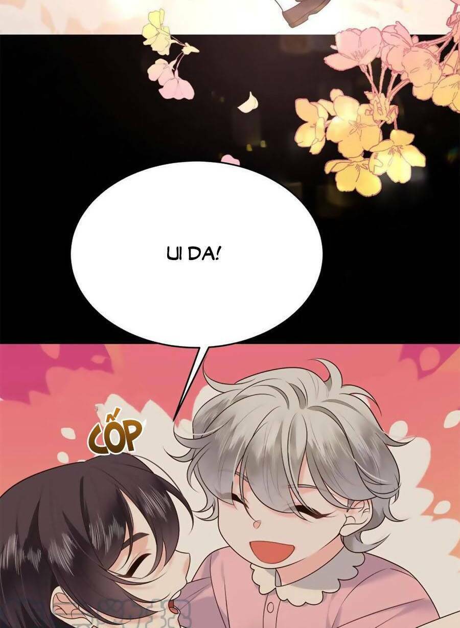 Hotboy Quốc Dân Là Nữ - Chapter 327 - Page 19