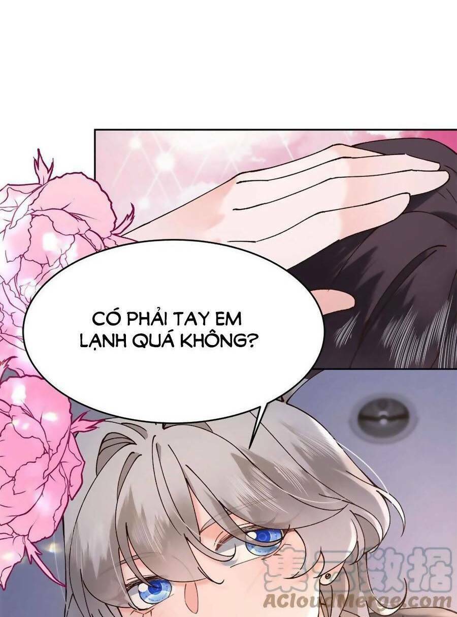 Hotboy Quốc Dân Là Nữ - Chapter 341 - Page 35