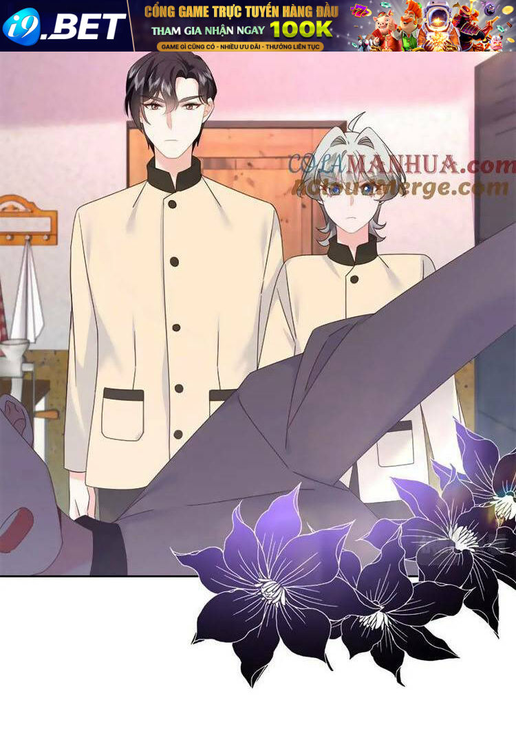 Hotboy Quốc Dân Là Nữ - Chapter 379 - Page 3