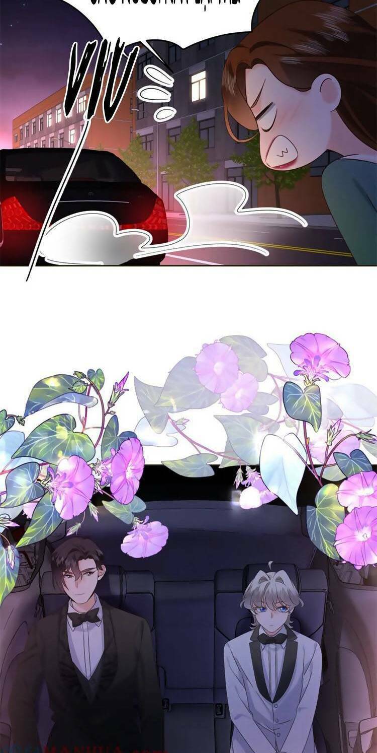 Hotboy Quốc Dân Là Nữ - Chapter 383 - Page 19