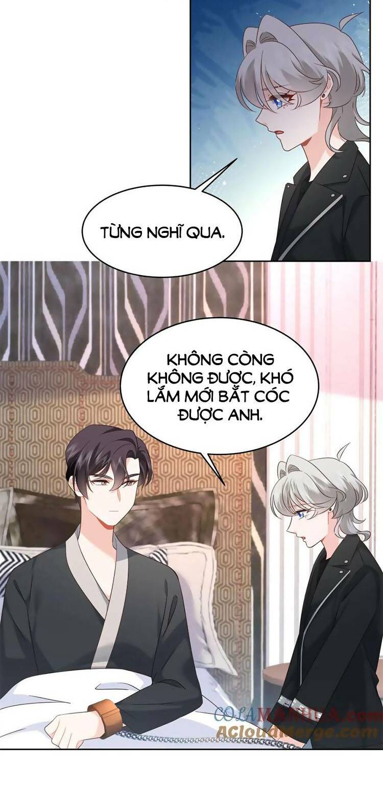Hotboy Quốc Dân Là Nữ - Chapter 425 - Page 7