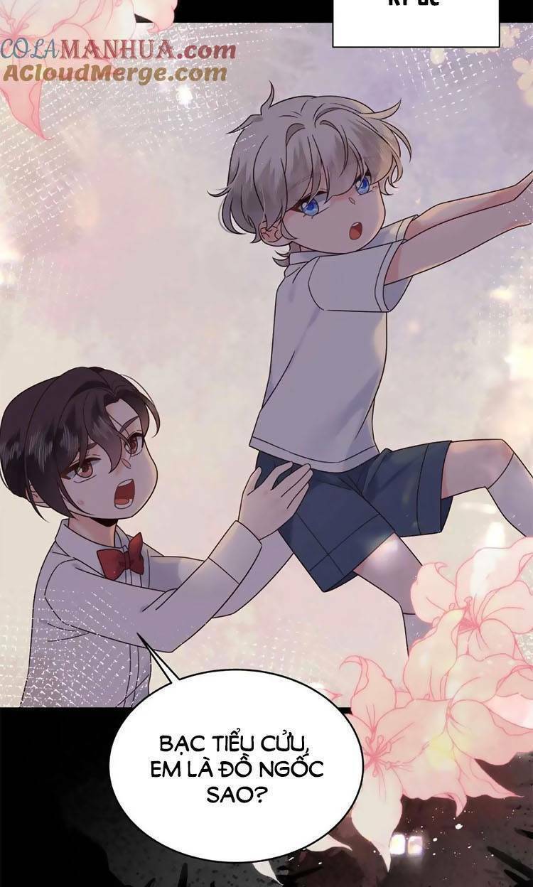 Hotboy Quốc Dân Là Nữ - Chapter 428 - Page 15