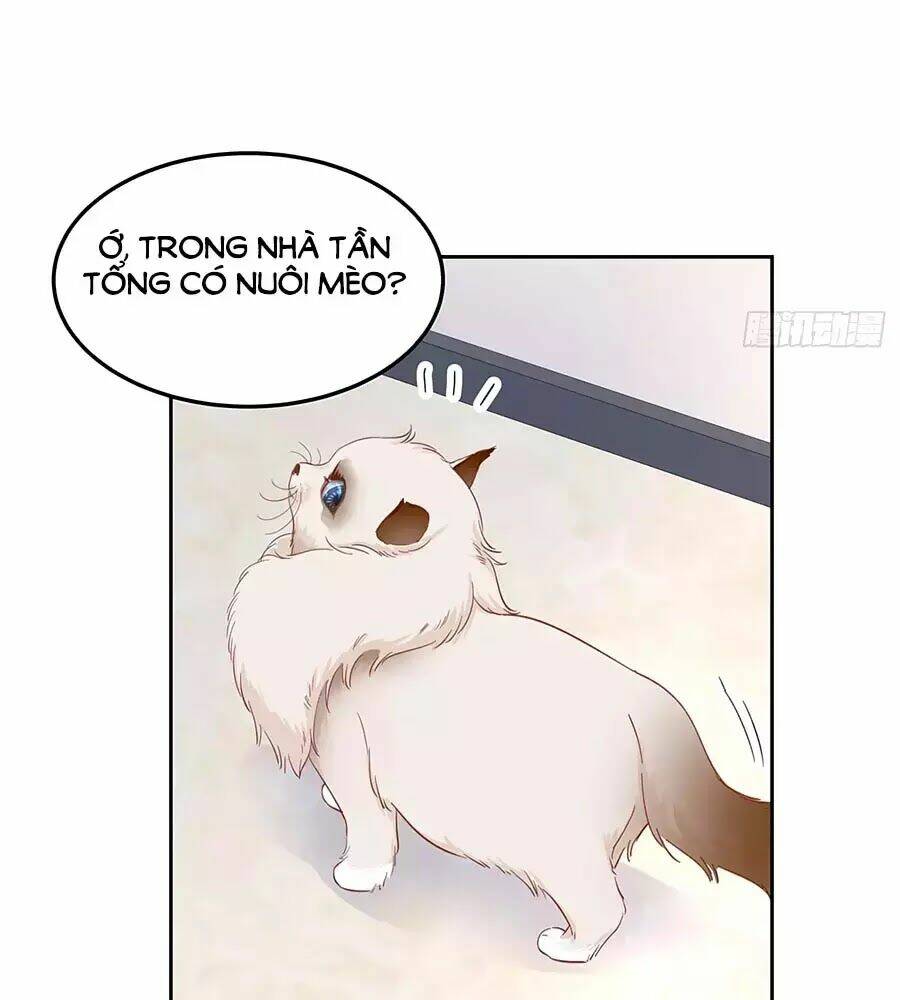 Hotboy Quốc Dân Là Nữ - Chapter 51 - Page 35