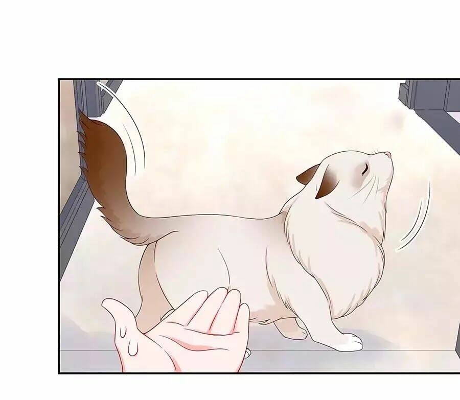 Hotboy Quốc Dân Là Nữ - Chapter 51 - Page 38