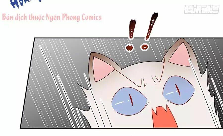 Hotboy Quốc Dân Là Nữ - Chapter 51 - Page 40