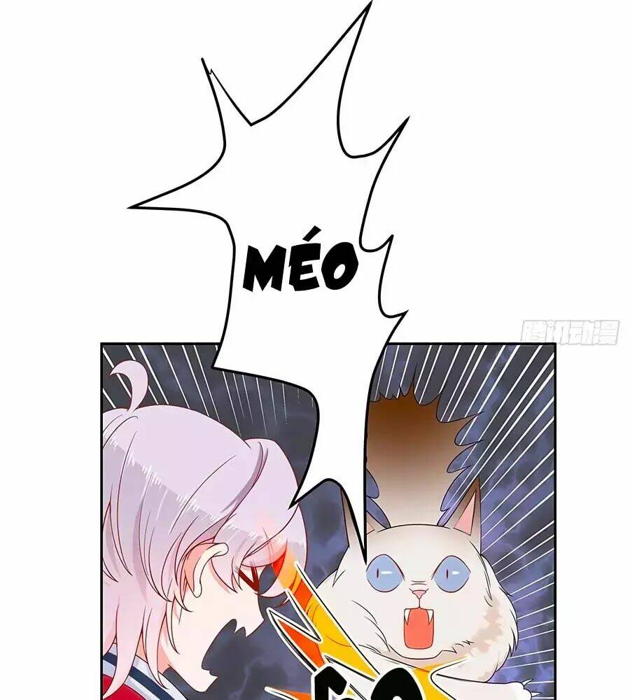 Hotboy Quốc Dân Là Nữ - Chapter 51 - Page 41