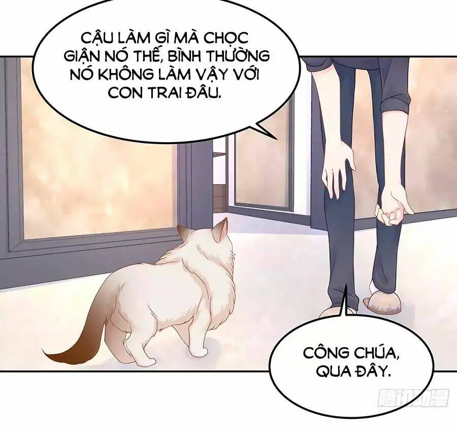 Hotboy Quốc Dân Là Nữ - Chapter 51 - Page 46