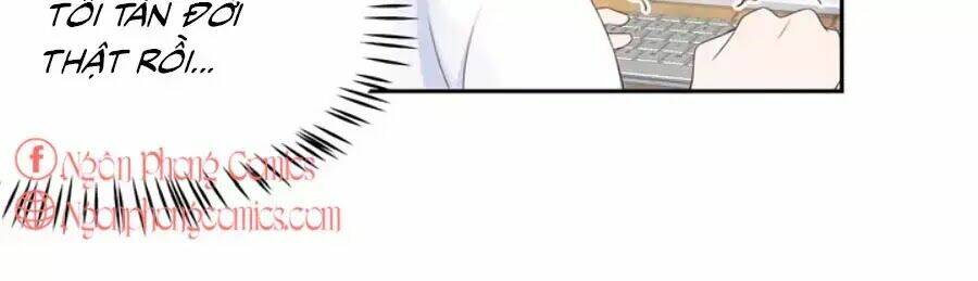 Hotboy Quốc Dân Là Nữ - Chapter 60 - Page 24