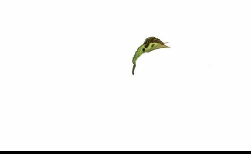 Cuồng Ma Tái Thế - Chapter 28 - Page 90