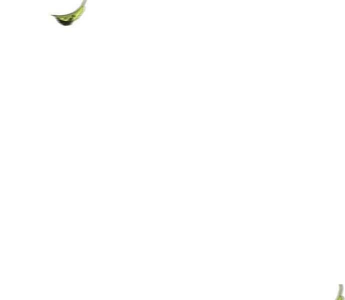 Cuồng Ma Tái Thế - Chapter 64 - Page 5