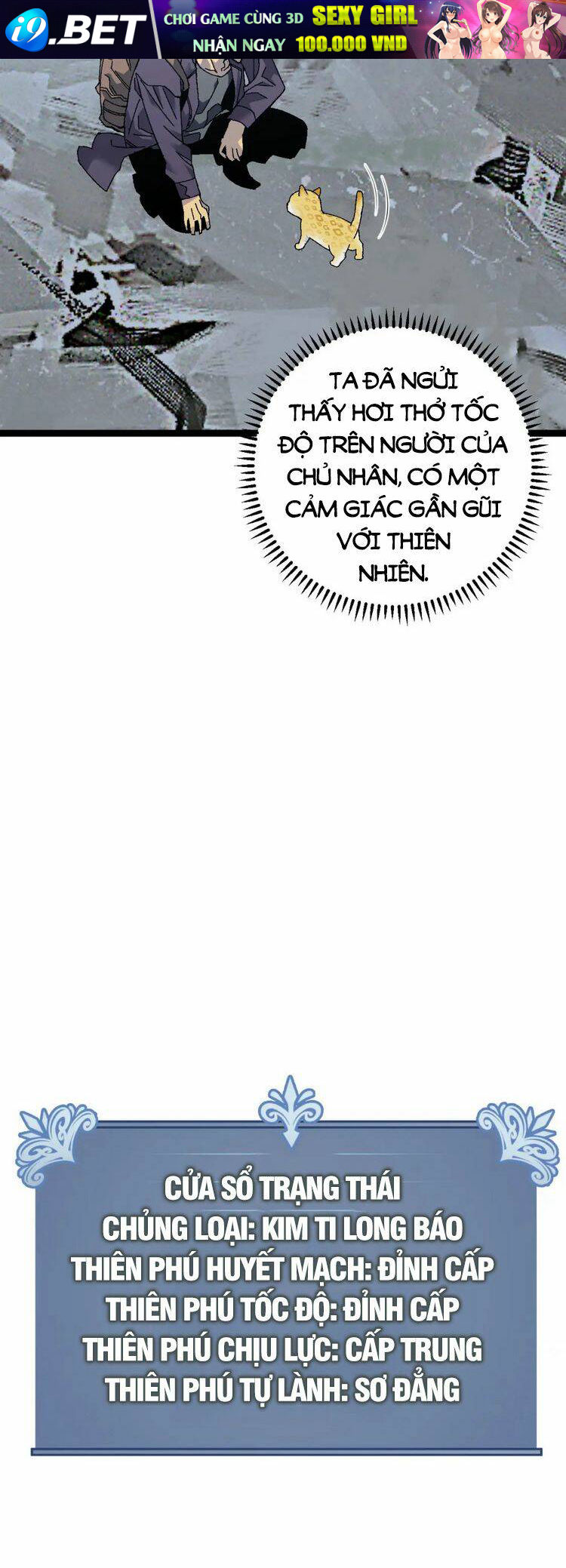 Thiên Phú Của Ngươi Giờ Là Của Ta - Chapter 44 - Page 49