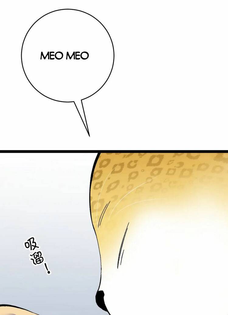 Thiên Phú Của Ngươi Giờ Là Của Ta - Chapter 45 - Page 19