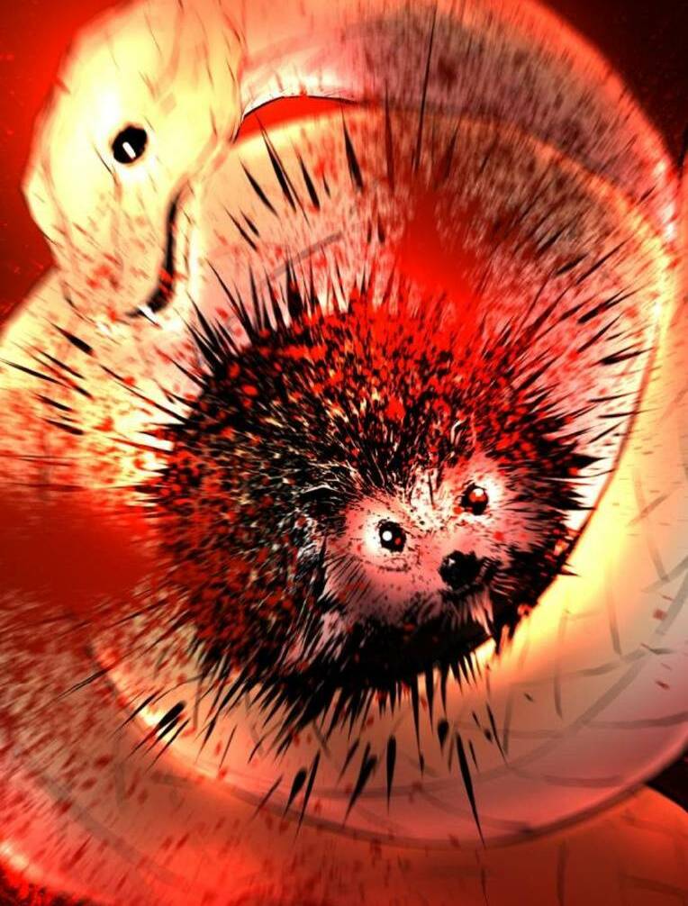 Phòng Gym Hanlim - Chapter 146 - Page 137