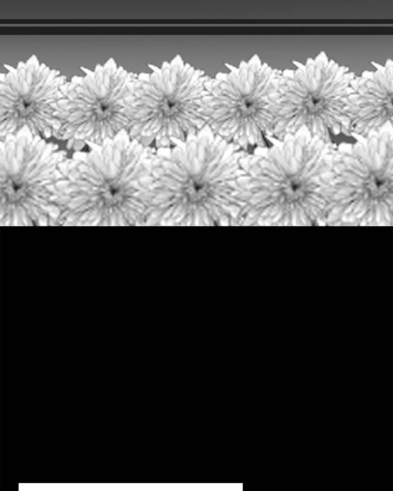 Phòng Gym Hanlim - Chapter 39 - Page 73