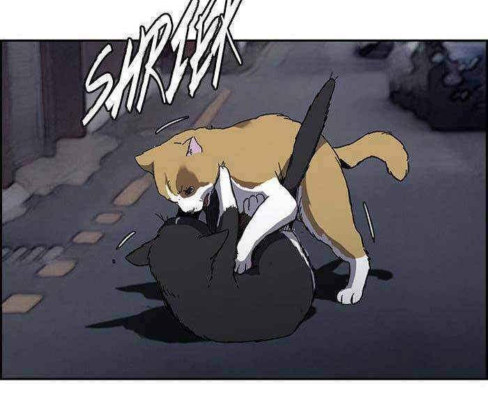 Thể Thao Cực Hạn - Chapter 239 - Page 3