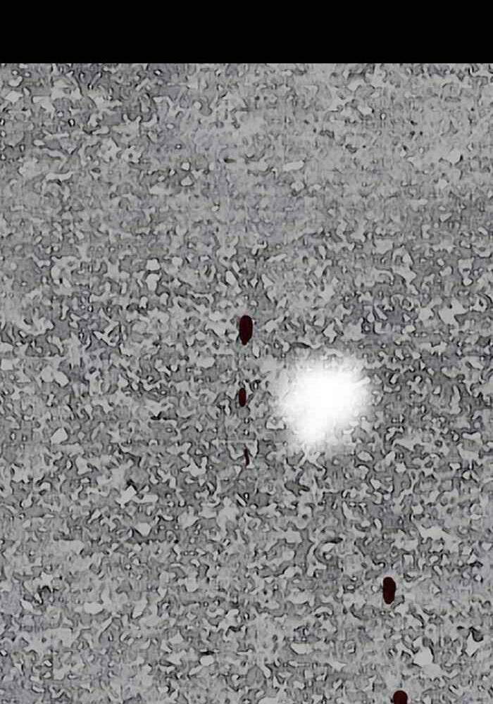 Thể Thao Cực Hạn - Chapter 250 - Page 133