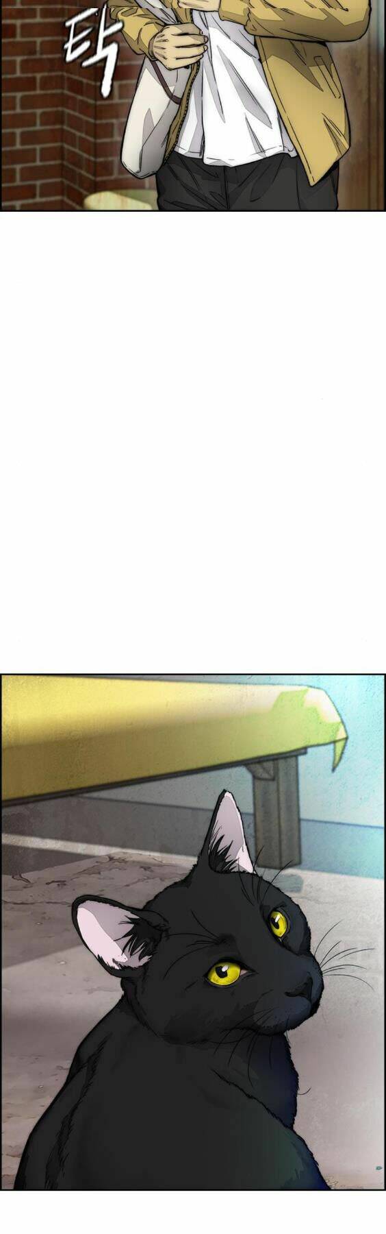 Thể Thao Cực Hạn - Chapter 387.5 - Page 39