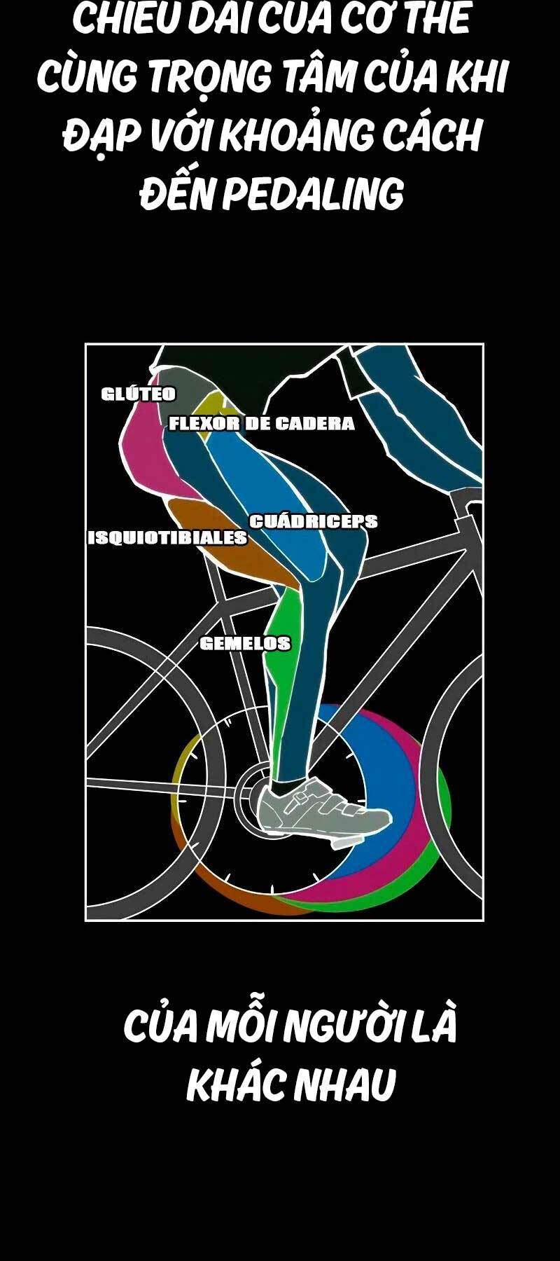 Thể Thao Cực Hạn - Chapter 464 - Page 58