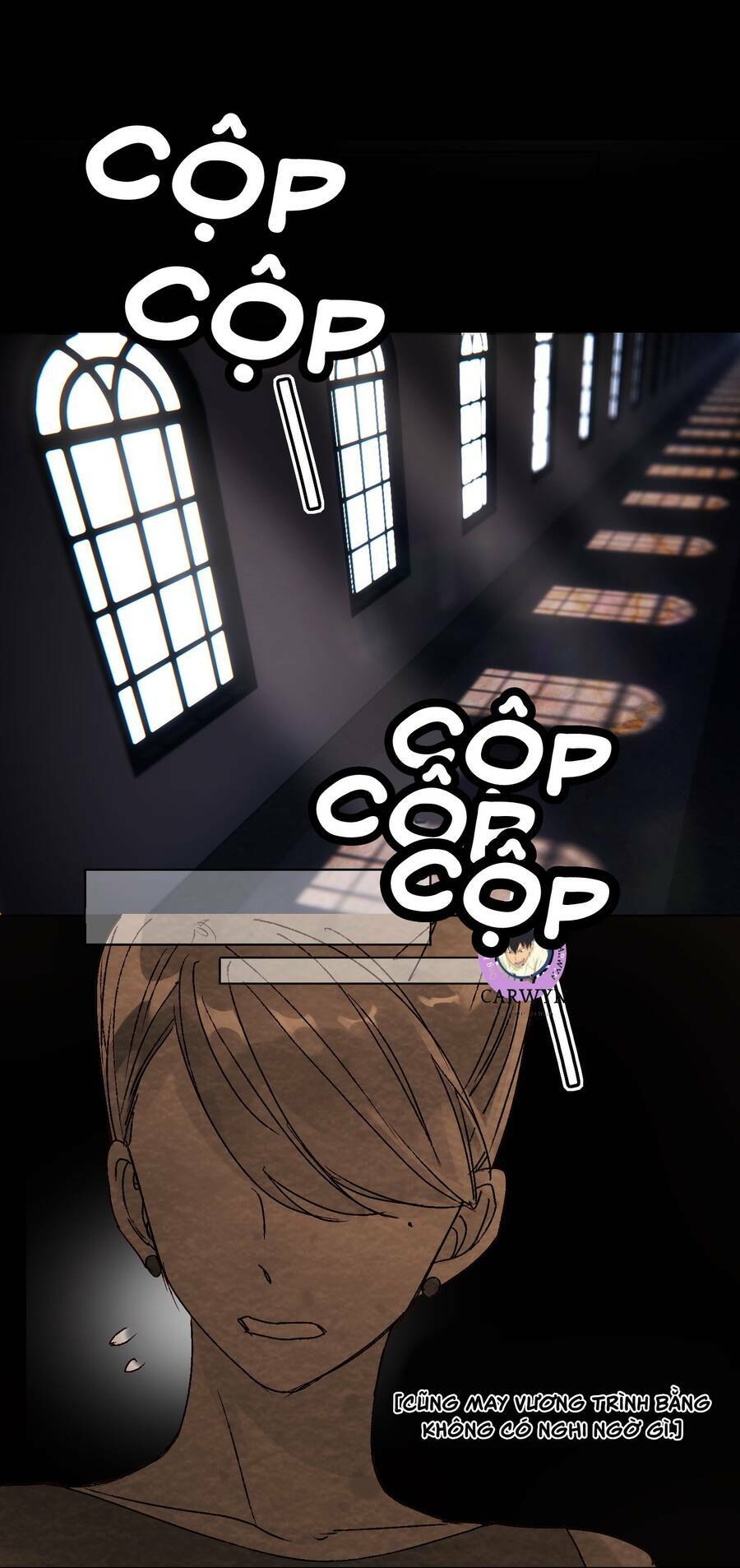 Tôi Phải Làm Một Kẻ Đại Xấu Xa - Chapter 12 - Page 19