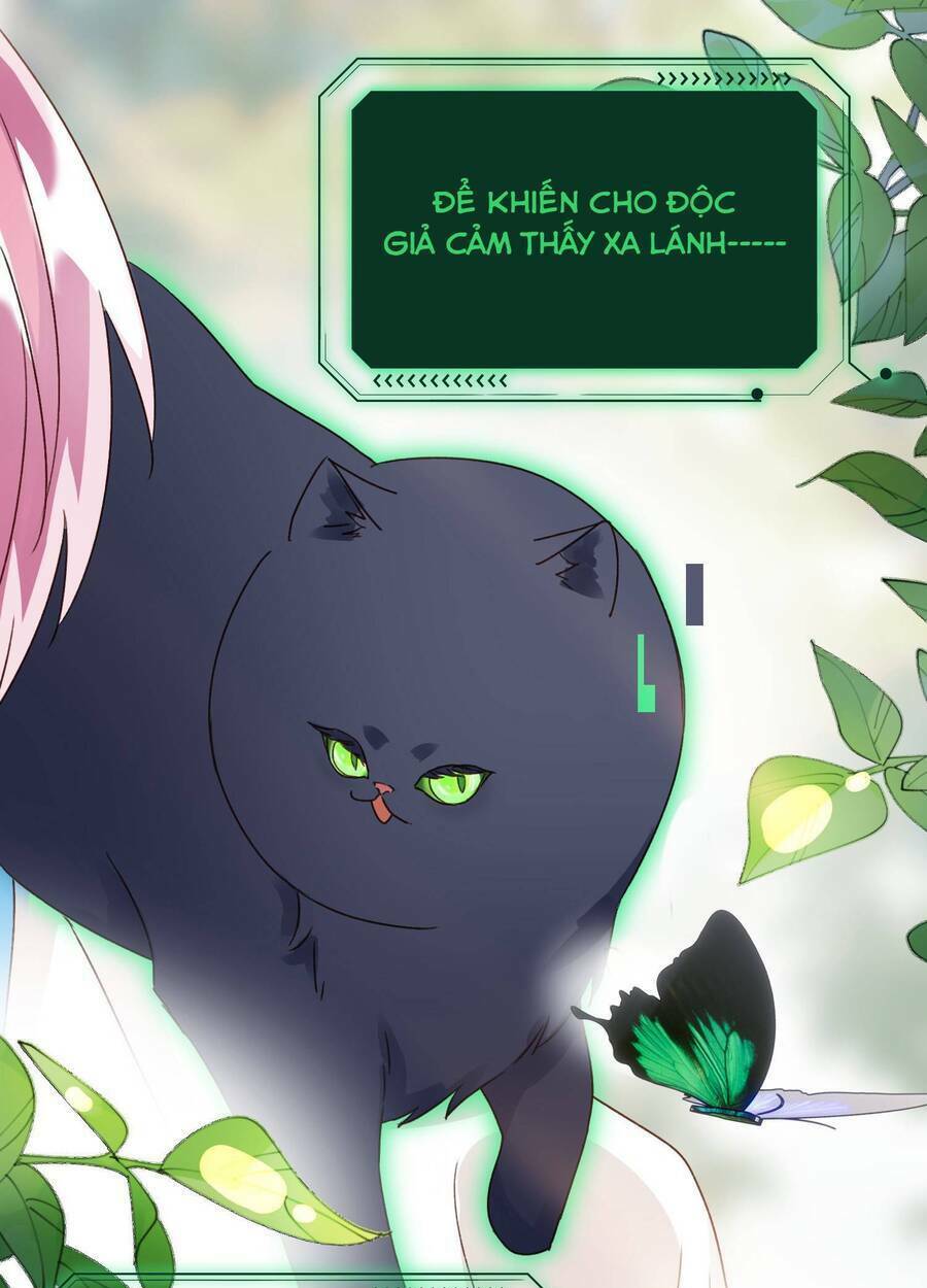 Tôi Phải Làm Một Kẻ Đại Xấu Xa - Chapter 17 - Page 13