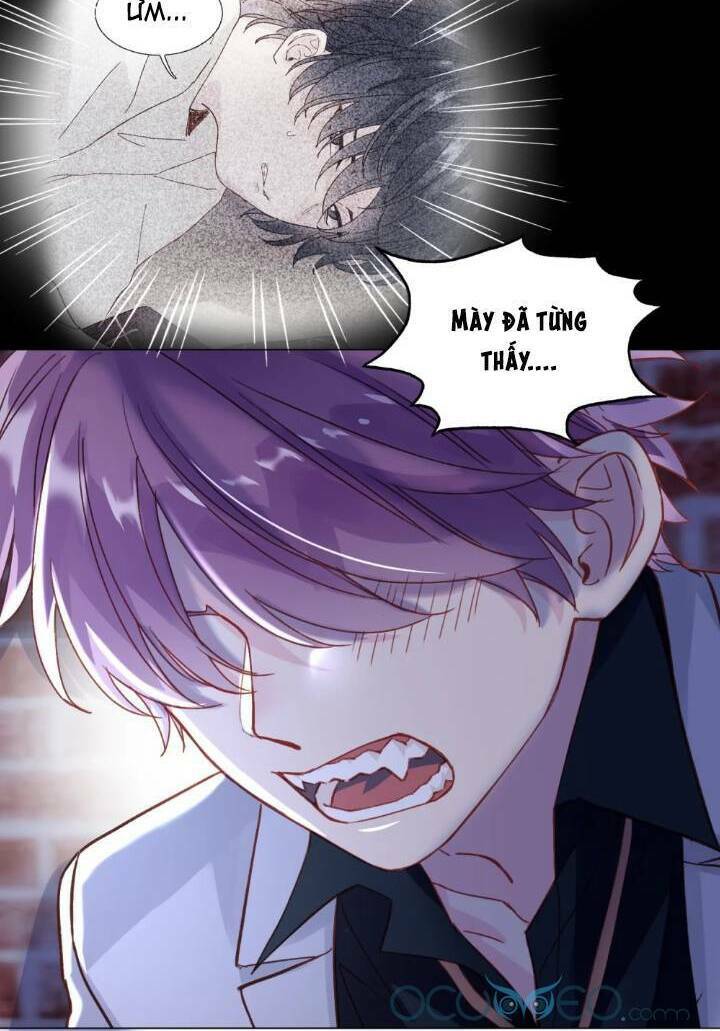 Tôi Phải Làm Một Kẻ Đại Xấu Xa - Chapter 24 - Page 32