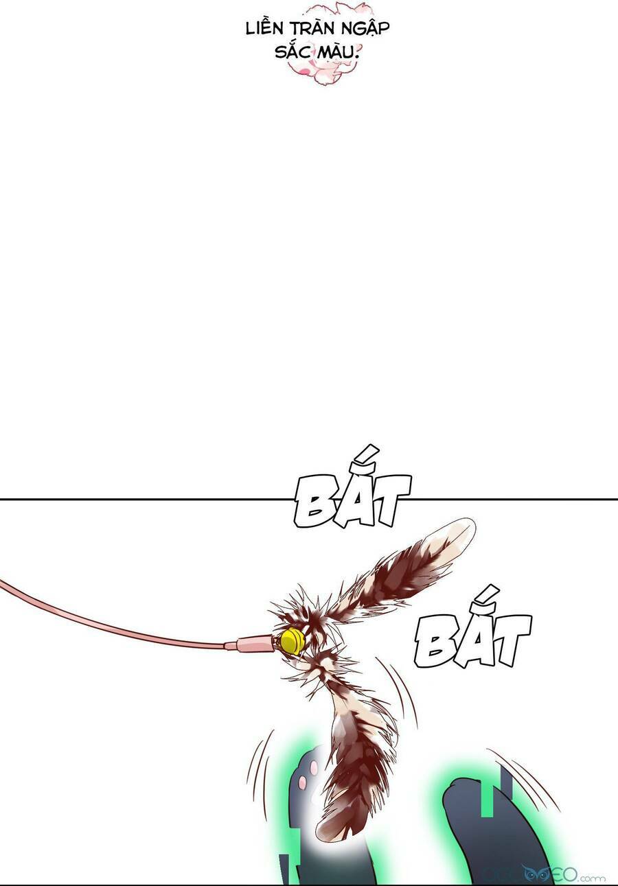 Tôi Phải Làm Một Kẻ Đại Xấu Xa - Chapter 3 - Page 8