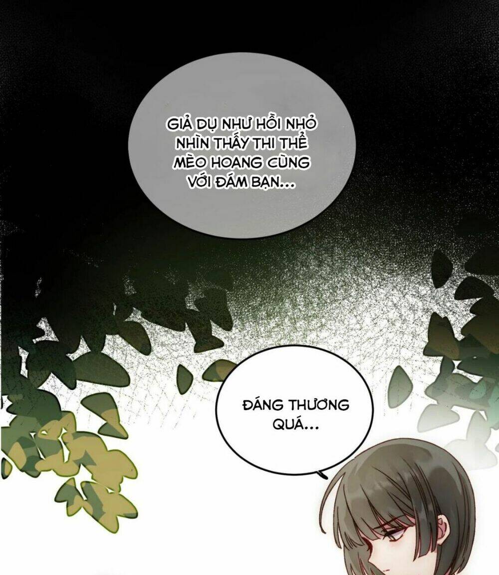 Tôi Phải Làm Một Kẻ Đại Xấu Xa - Chapter 31 - Page 15