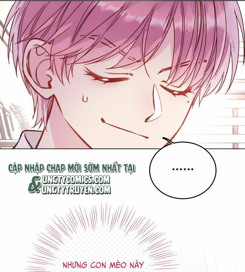 Tôi Phải Làm Một Kẻ Đại Xấu Xa - Chapter 33 - Page 3