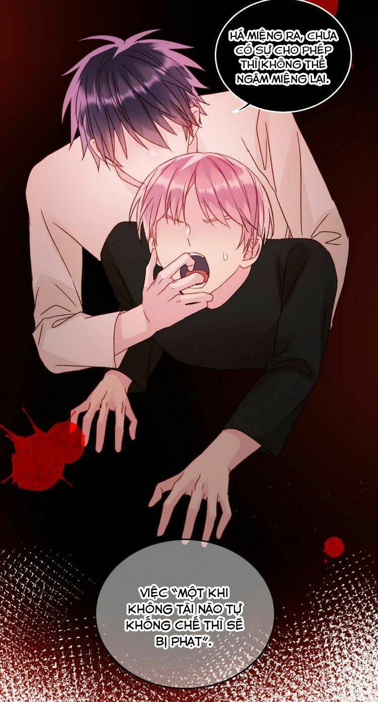 Tôi Phải Làm Một Kẻ Đại Xấu Xa - Chapter 37 - Page 11