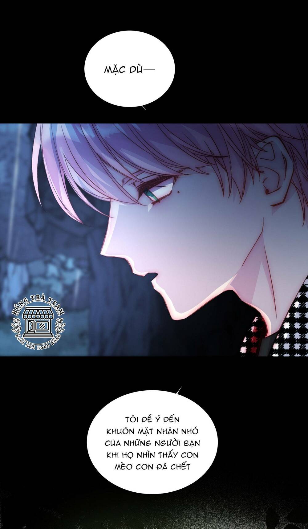 Tôi Phải Làm Một Kẻ Đại Xấu Xa - Chapter 45 - Page 11