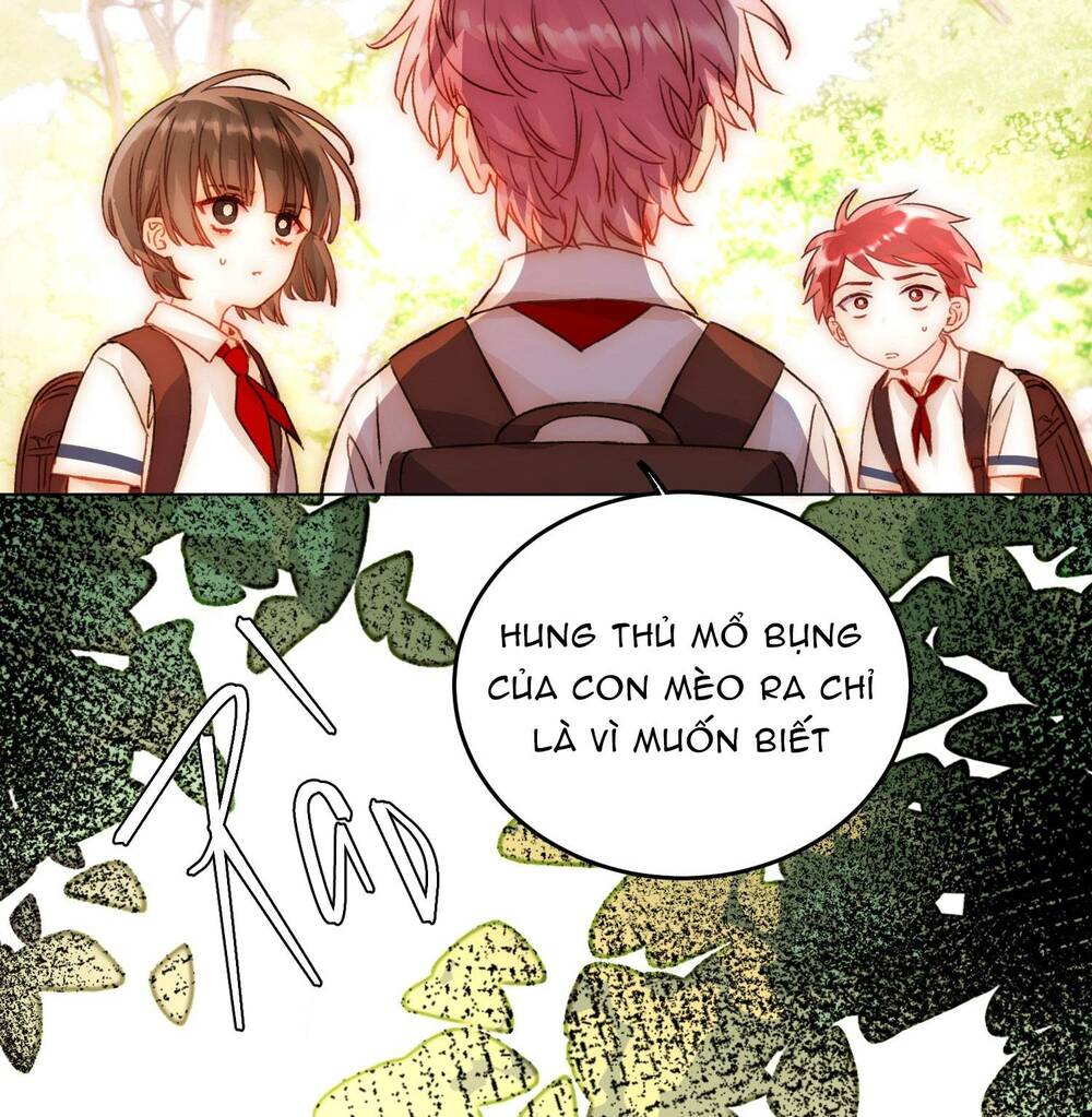 Tôi Phải Làm Một Kẻ Đại Xấu Xa - Chapter 45 - Page 16