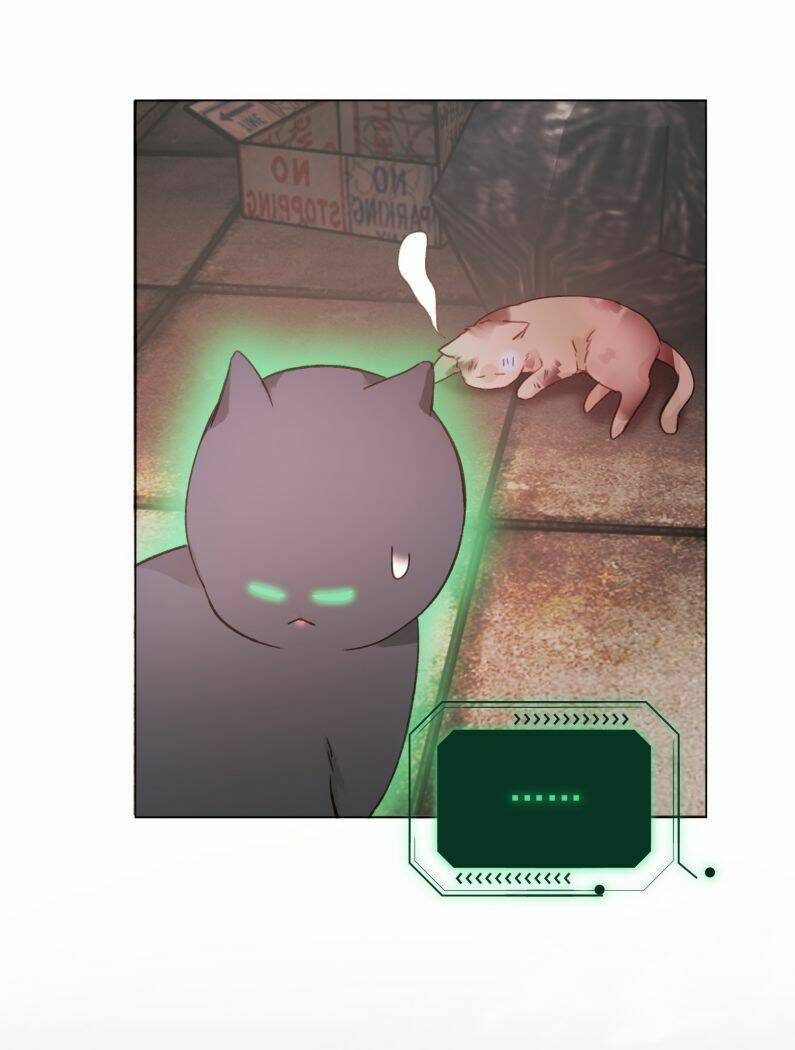 Tôi Phải Làm Một Kẻ Đại Xấu Xa - Chapter 65 - Page 5