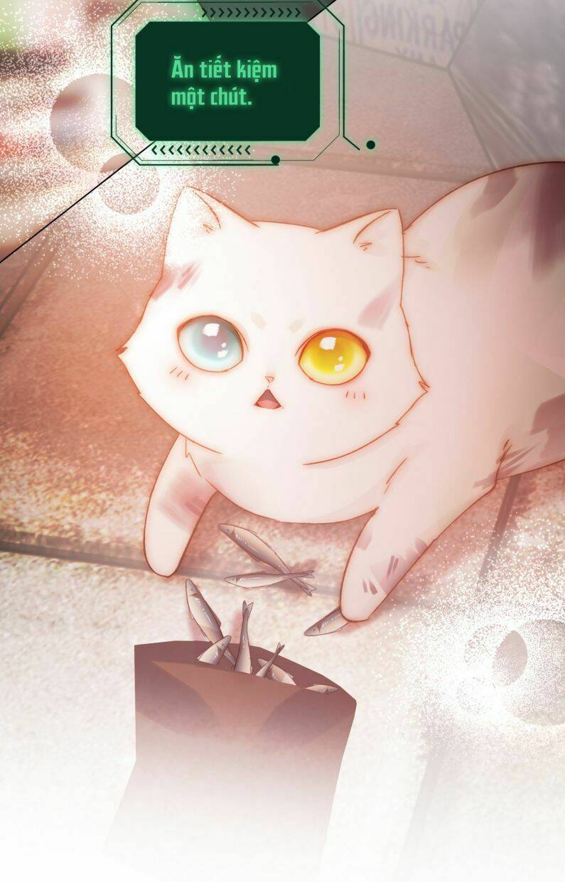 Tôi Phải Làm Một Kẻ Đại Xấu Xa - Chapter 65 - Page 8