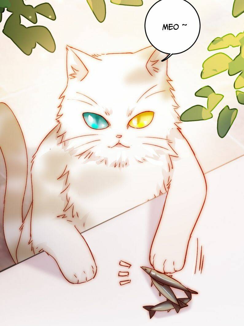 Tôi Phải Làm Một Kẻ Đại Xấu Xa - Chapter 69 - Page 25