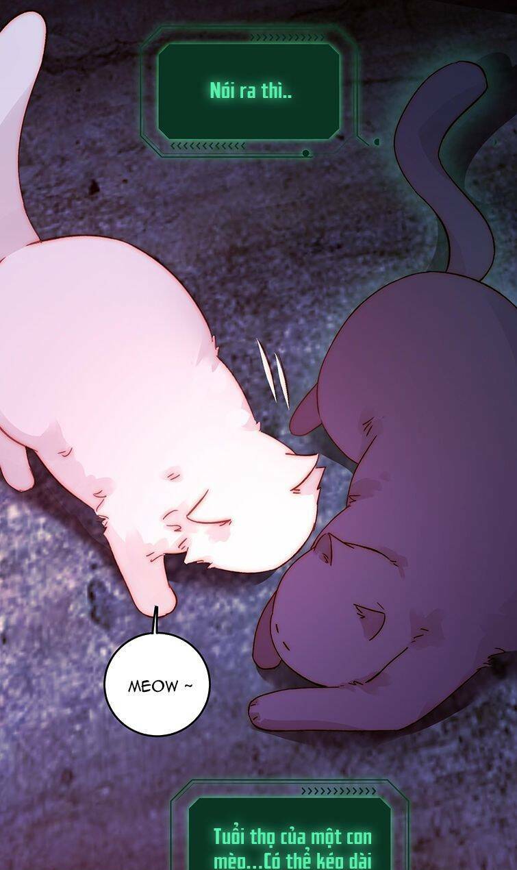 Tôi Phải Làm Một Kẻ Đại Xấu Xa - Chapter 90 - Page 31