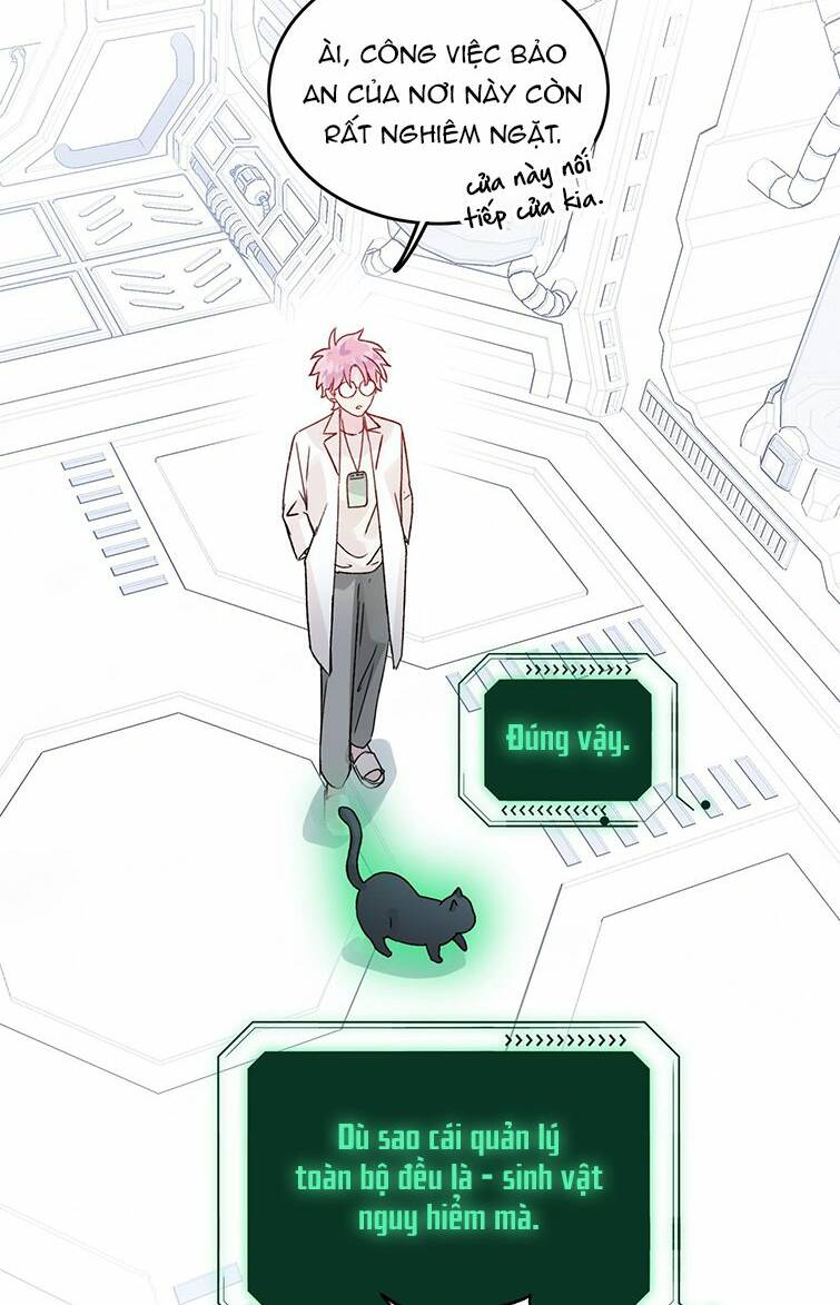 Tôi Phải Làm Một Kẻ Đại Xấu Xa - Chapter 91 - Page 22