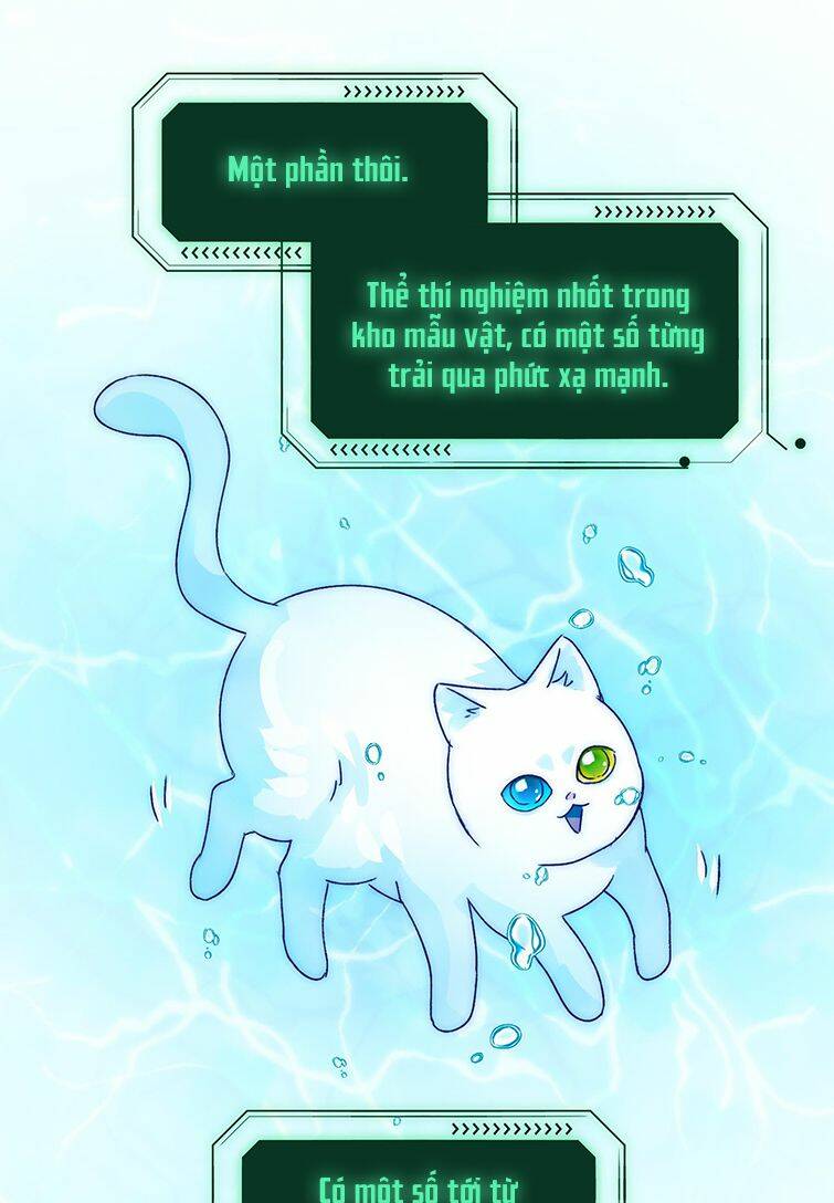 Tôi Phải Làm Một Kẻ Đại Xấu Xa - Chapter 91 - Page 25