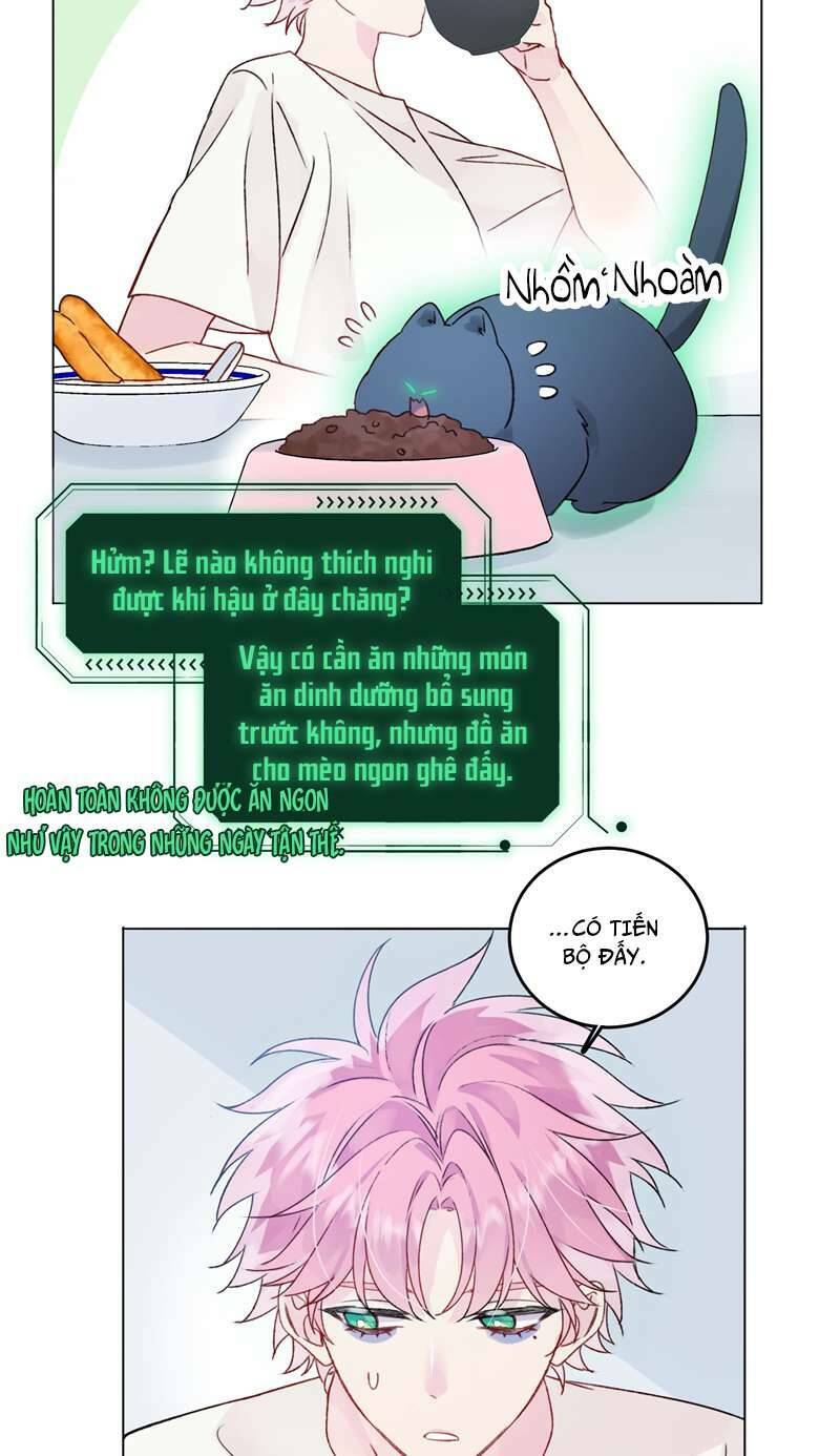 Tôi Phải Làm Một Kẻ Đại Xấu Xa - Chapter 94 - Page 17