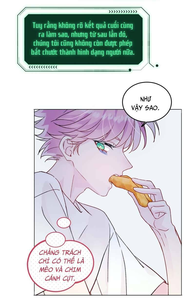 Tôi Phải Làm Một Kẻ Đại Xấu Xa - Chapter 94 - Page 21