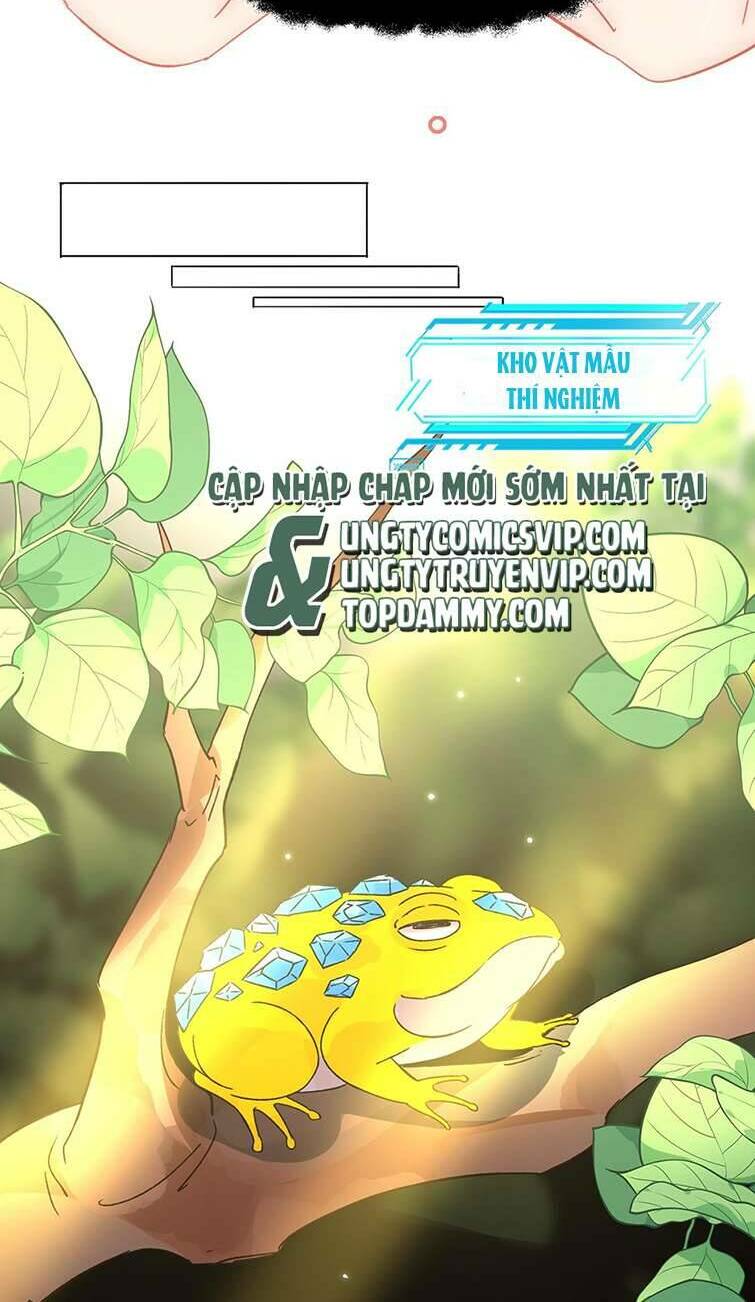 Tôi Phải Làm Một Kẻ Đại Xấu Xa - Chapter 95 - Page 35