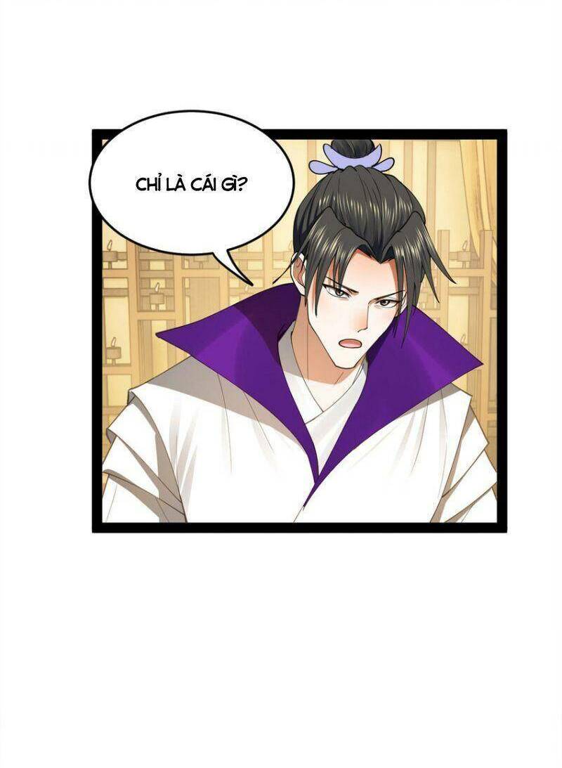 Chàng Rể Mạnh Nhất Lịch Sử - Chapter 61 - Page 13