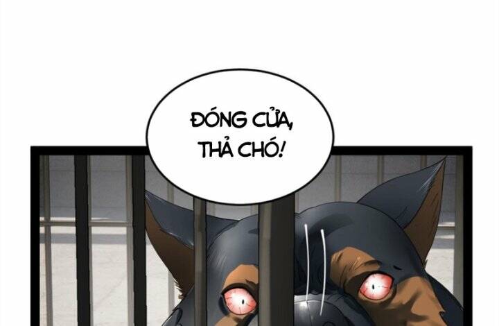 Chàng Rể Mạnh Nhất Lịch Sử - Chapter 75 - Page 80