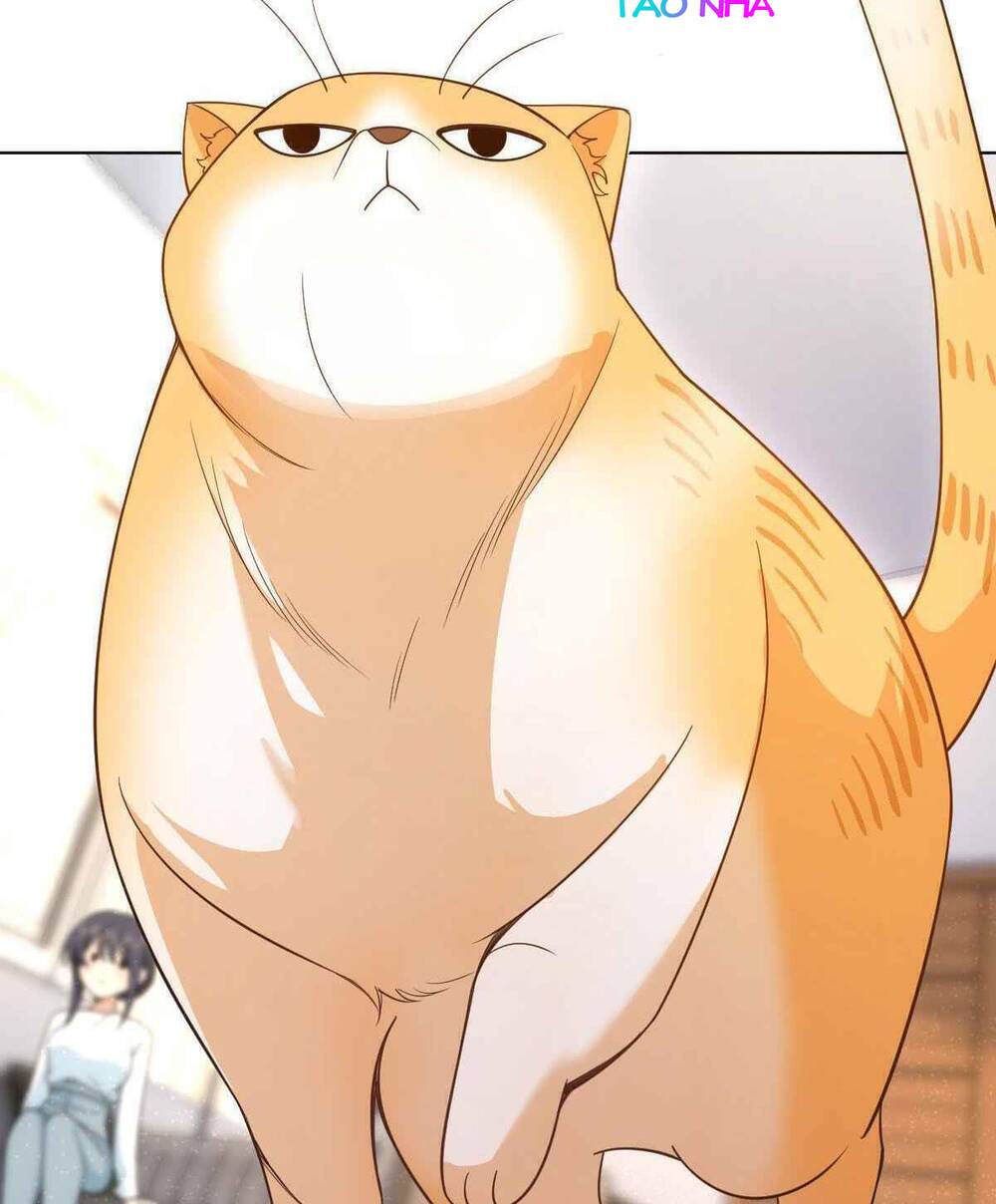 Bà Xã Nhà Tôi Đến Từ Ngàn Năm Trước - Chapter 112 - Page 21