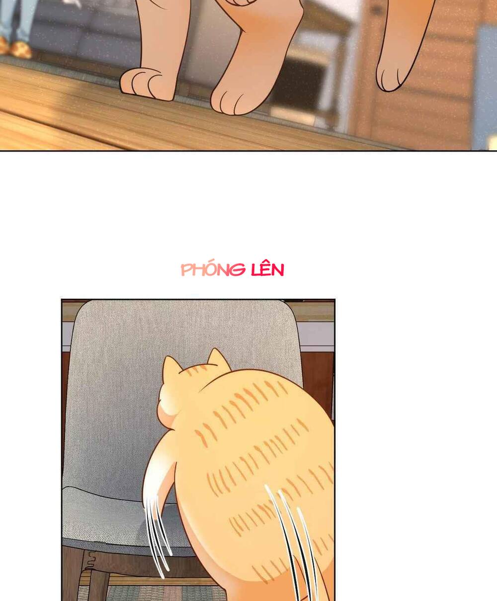 Bà Xã Nhà Tôi Đến Từ Ngàn Năm Trước - Chapter 112 - Page 22