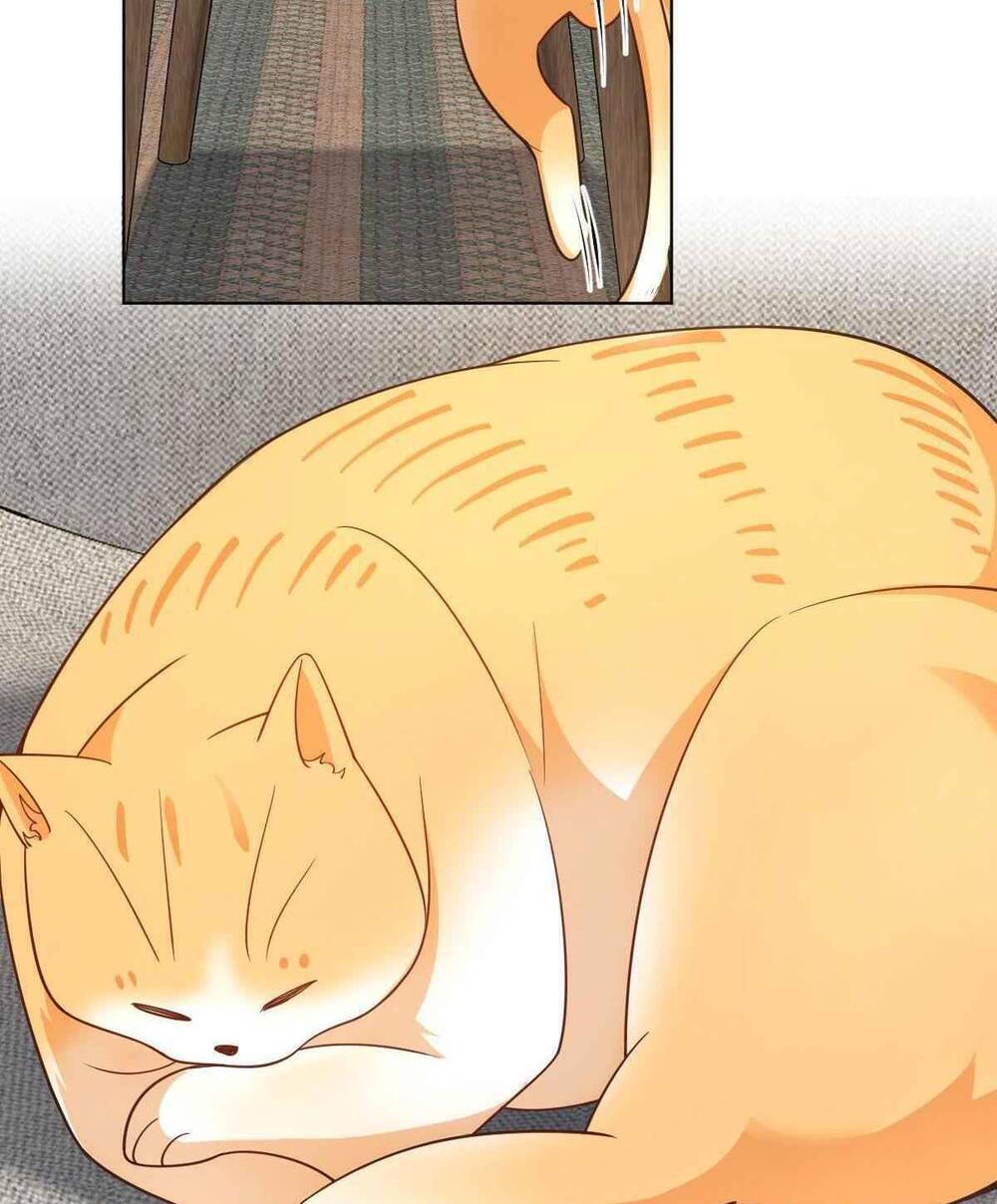 Bà Xã Nhà Tôi Đến Từ Ngàn Năm Trước - Chapter 112 - Page 23