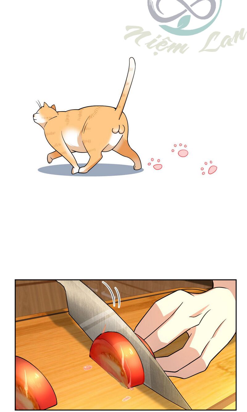 Bà Xã Nhà Tôi Đến Từ Ngàn Năm Trước - Chapter 59 - Page 36