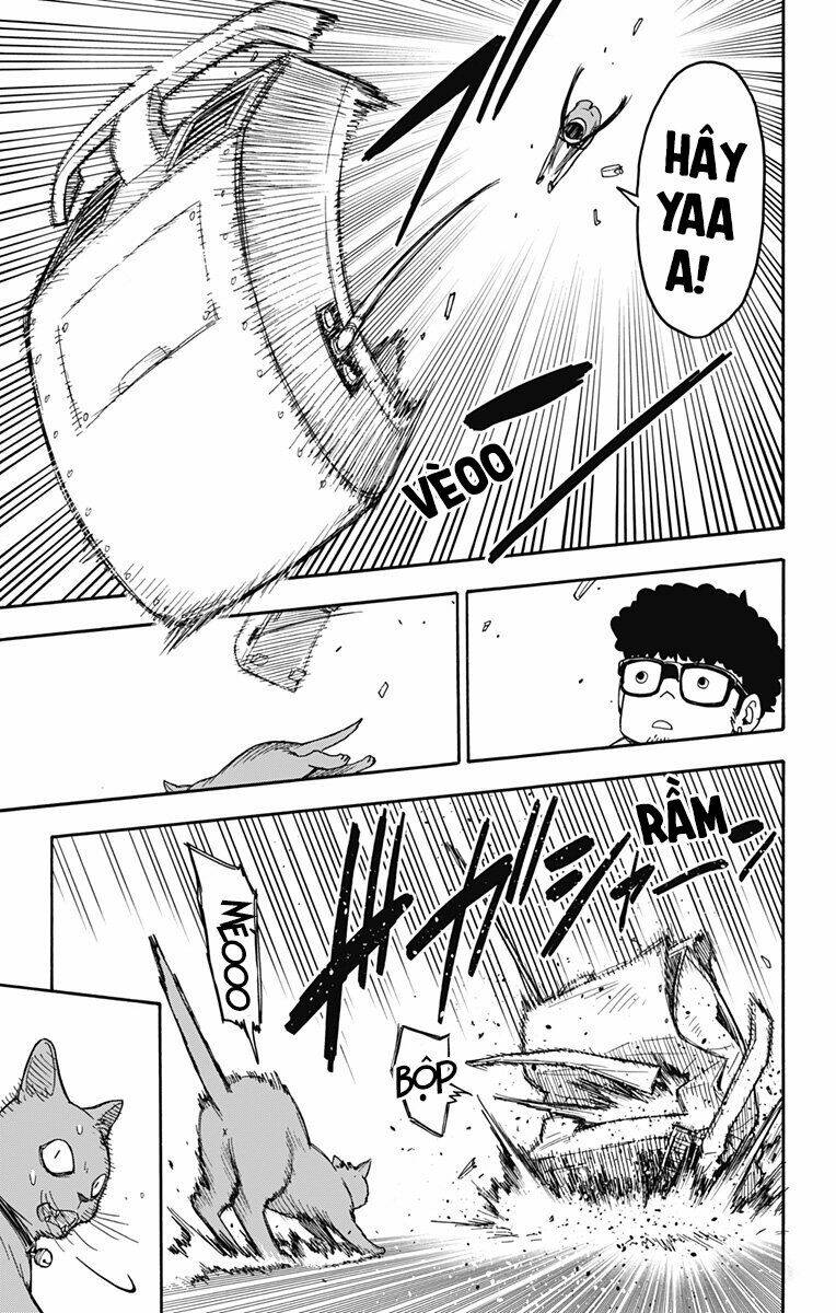 Gia Đình Điệp Viên Chapter 43 - Trang 18