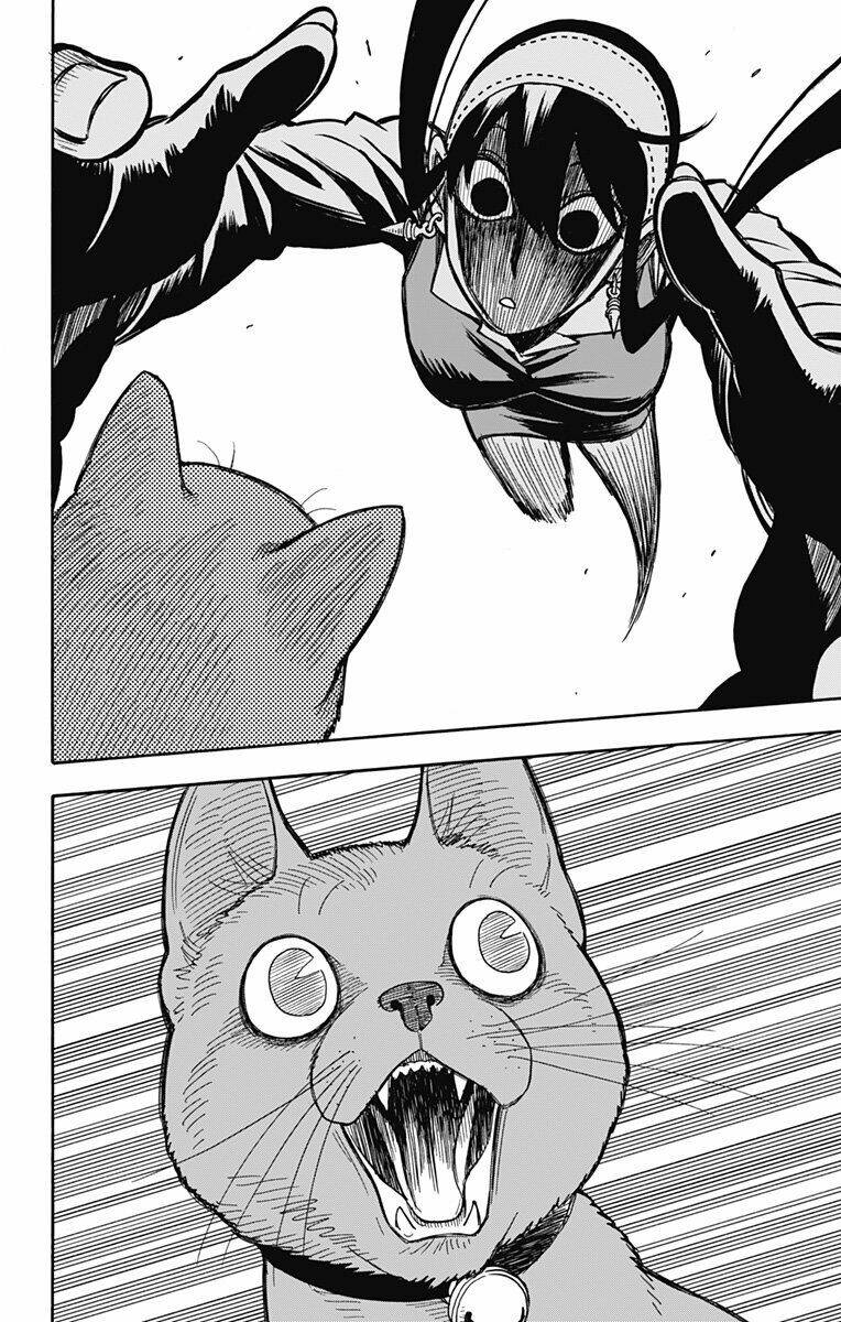 Gia Đình Điệp Viên Chapter 43 - Trang 19