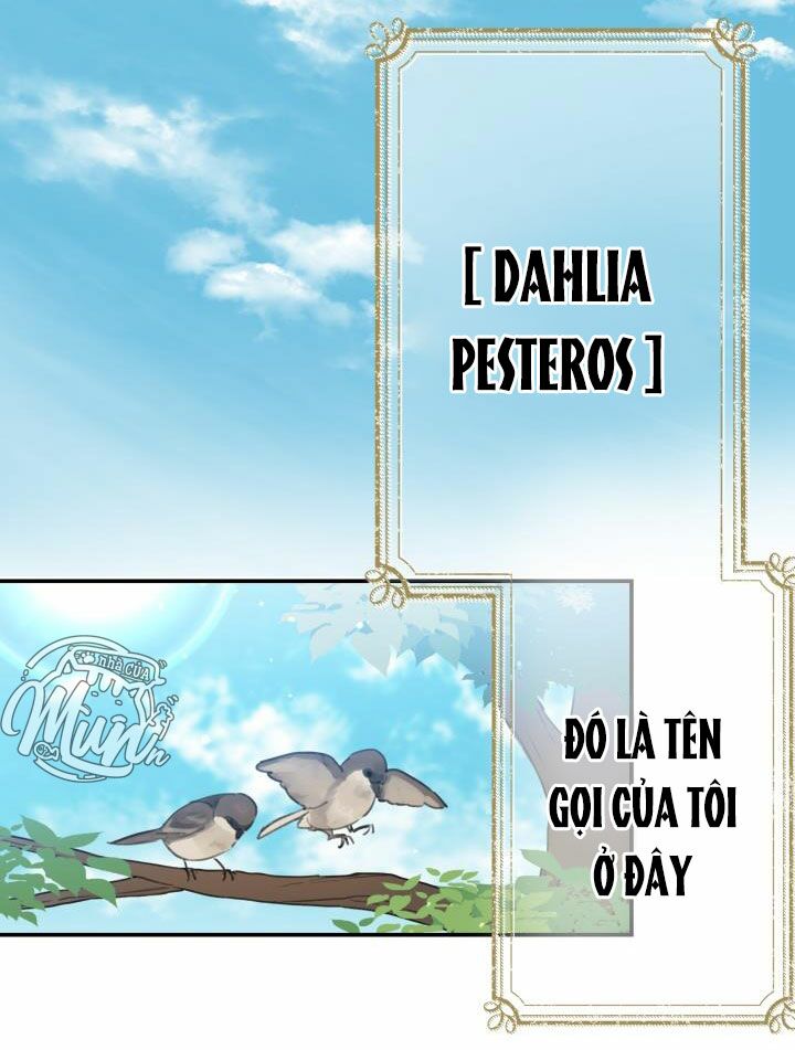 Những Nhân Vật Mạnh Nhất Thế Giới Ám Ảnh Tôi - Chapter 1 - Page 34