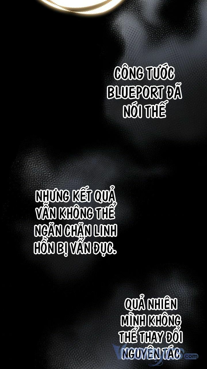 Những Nhân Vật Mạnh Nhất Thế Giới Ám Ảnh Tôi - Chapter 29 - Page 29